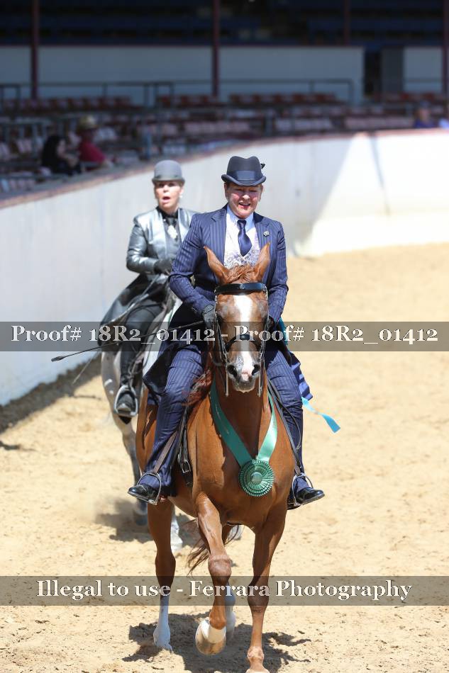 Proof 18R2_01412
