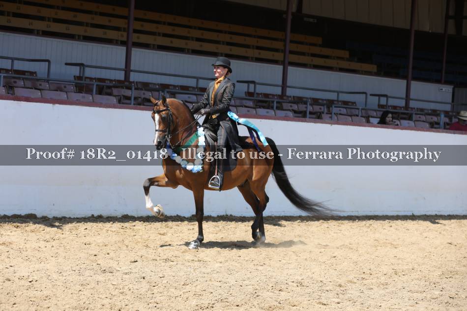 Proof 18R2_01418