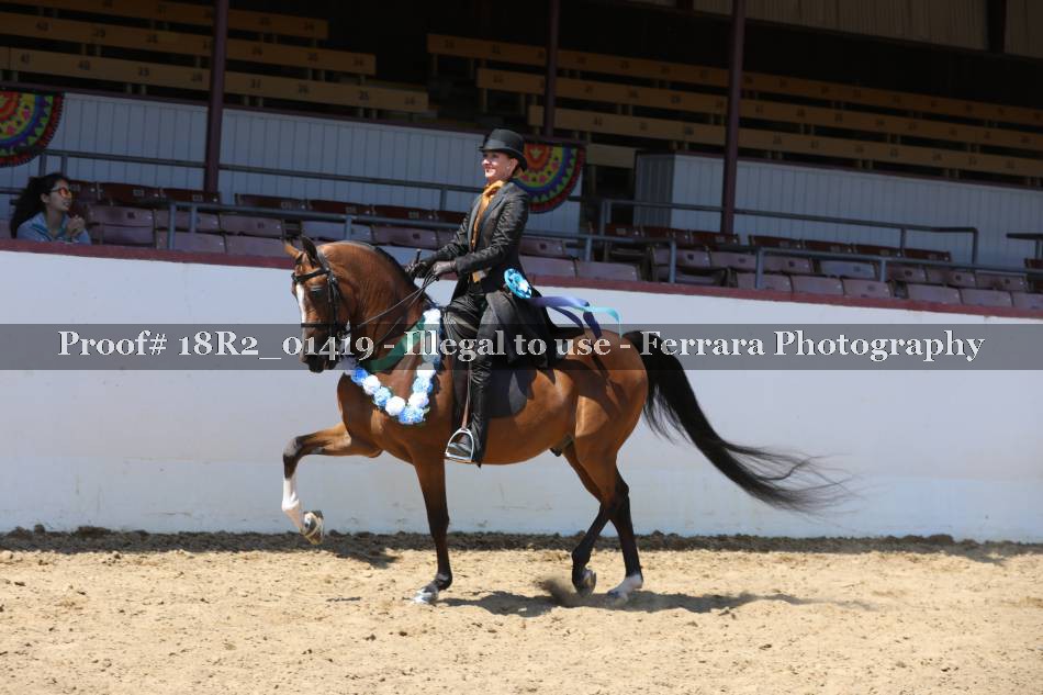 Proof 18R2_01419