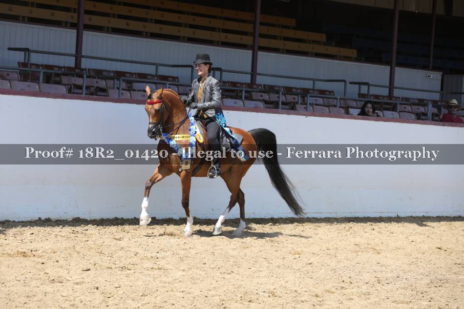 Proof 18R2_01420