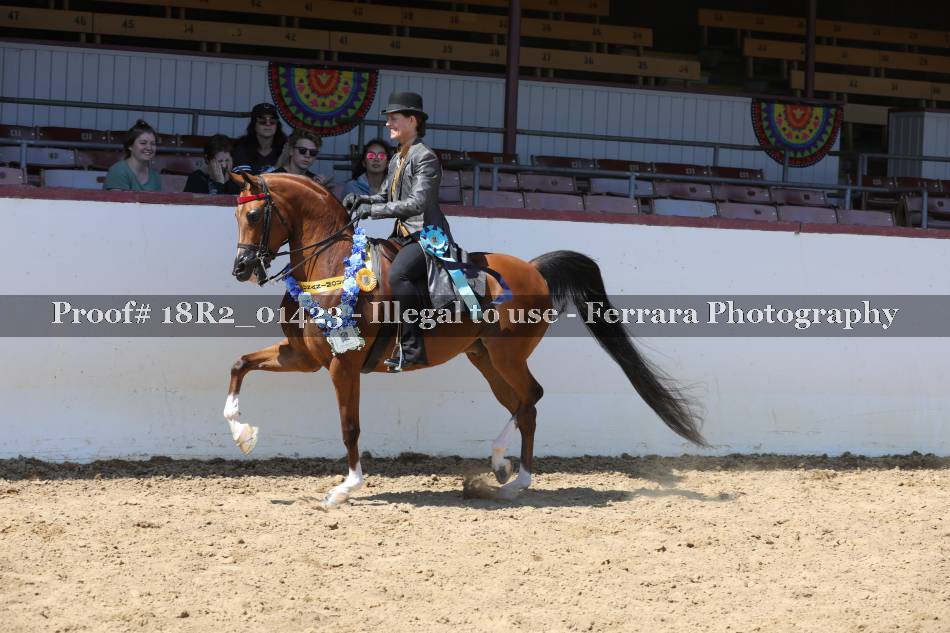 Proof 18R2_01423