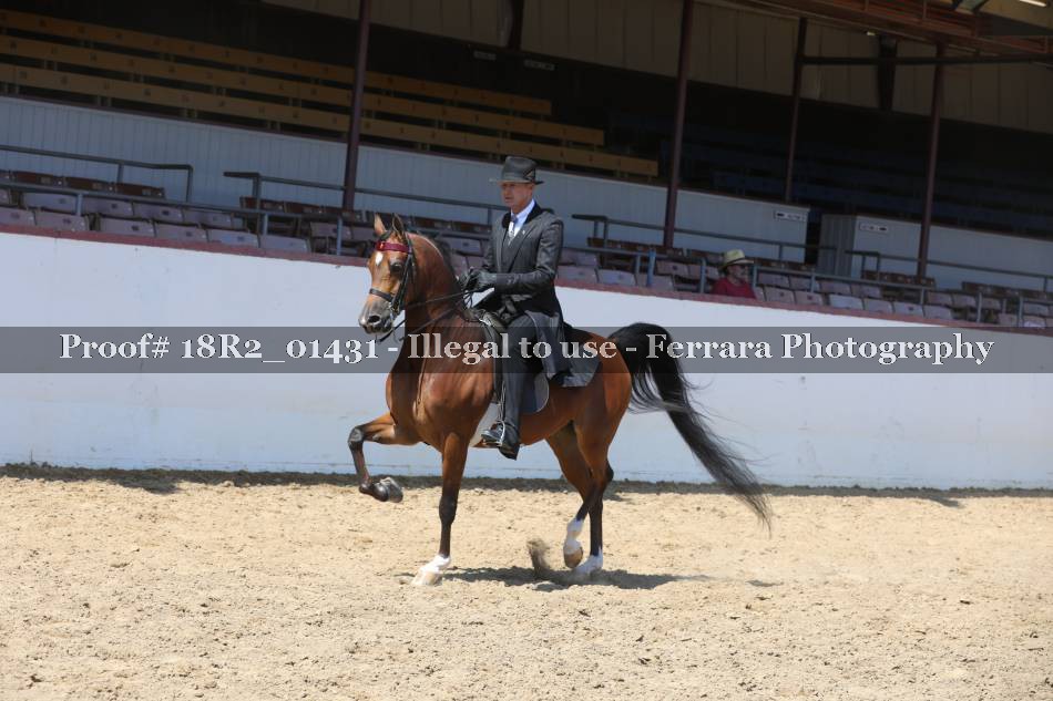 Proof 18R2_01431