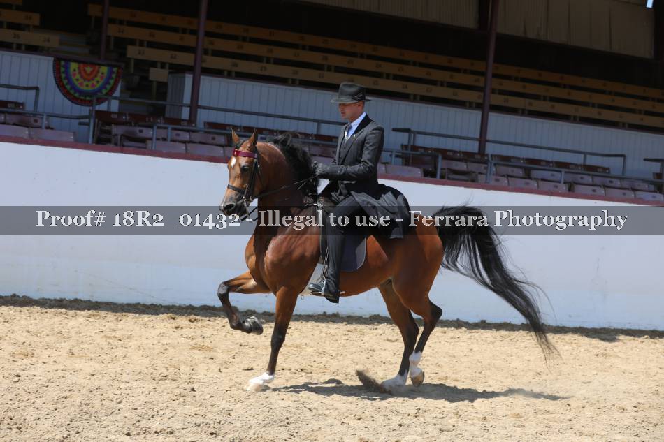 Proof 18R2_01432