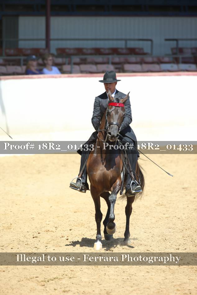 Proof 18R2_01433