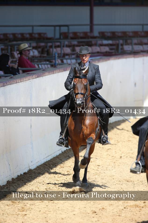 Proof 18R2_01434