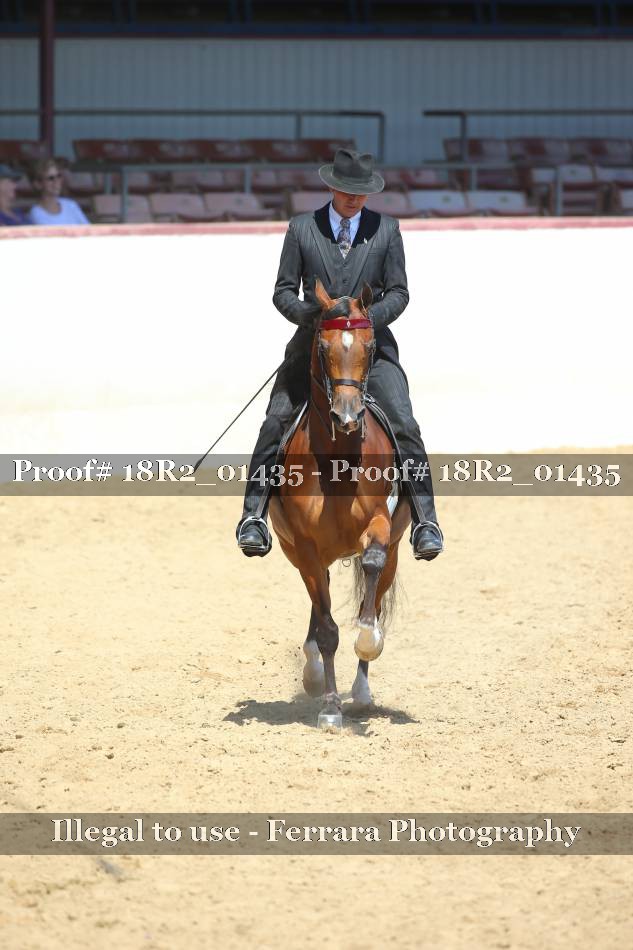 Proof 18R2_01435