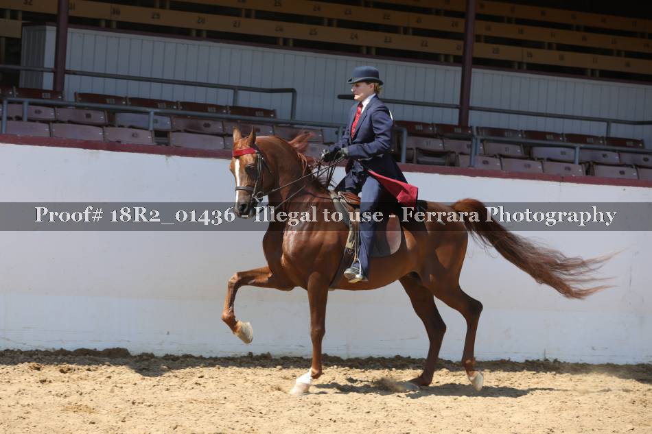 Proof 18R2_01436
