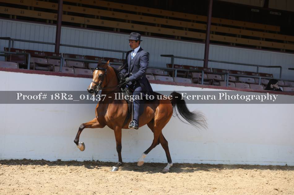Proof 18R2_01437