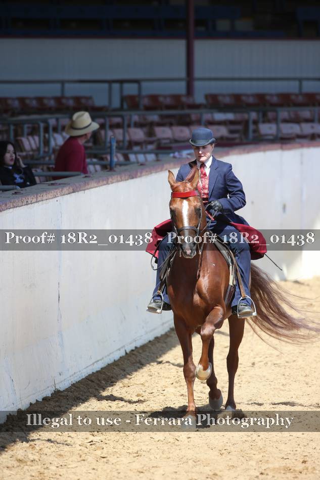 Proof 18R2_01438