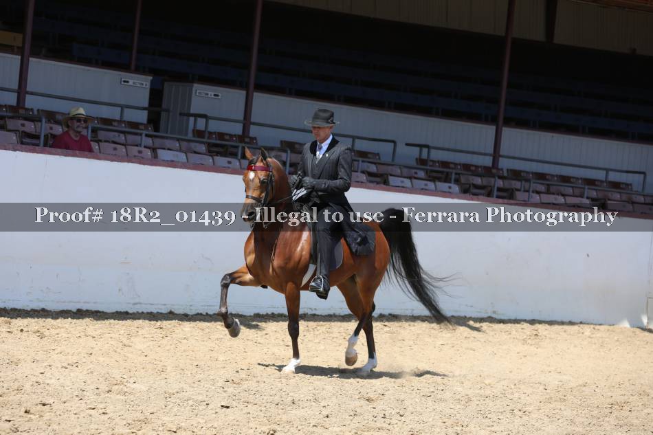 Proof 18R2_01439