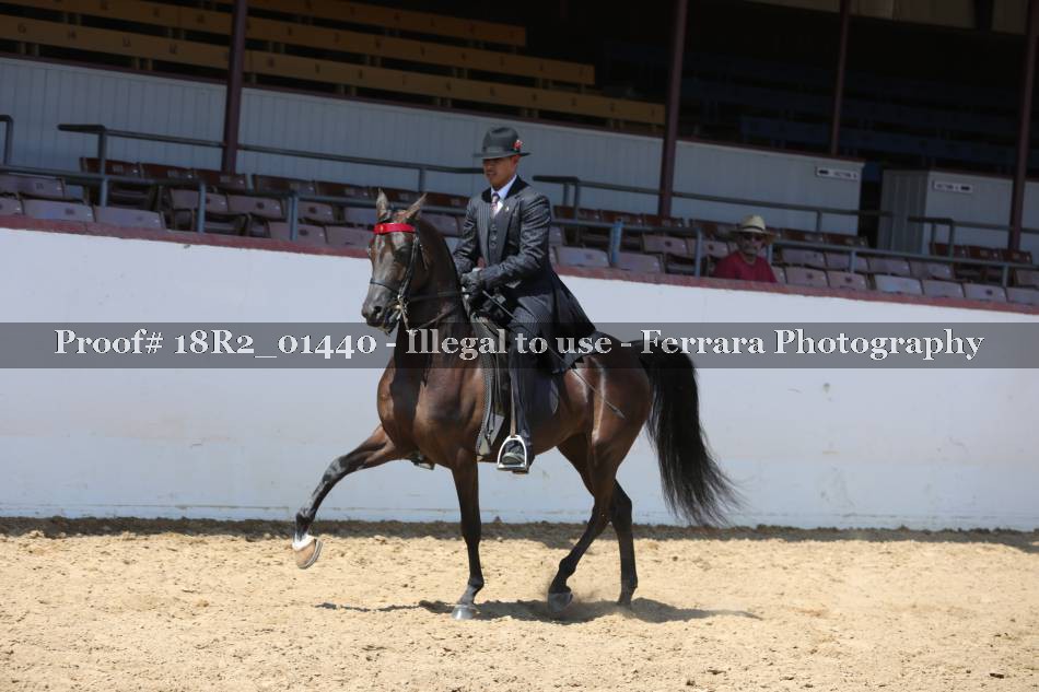 Proof 18R2_01440