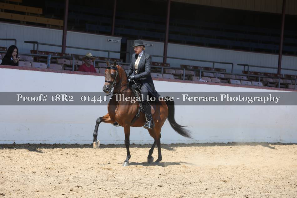 Proof 18R2_01441