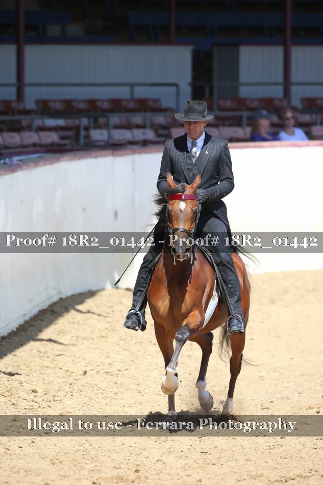 Proof 18R2_01442