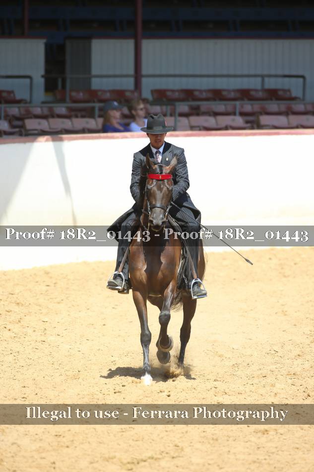 Proof 18R2_01443