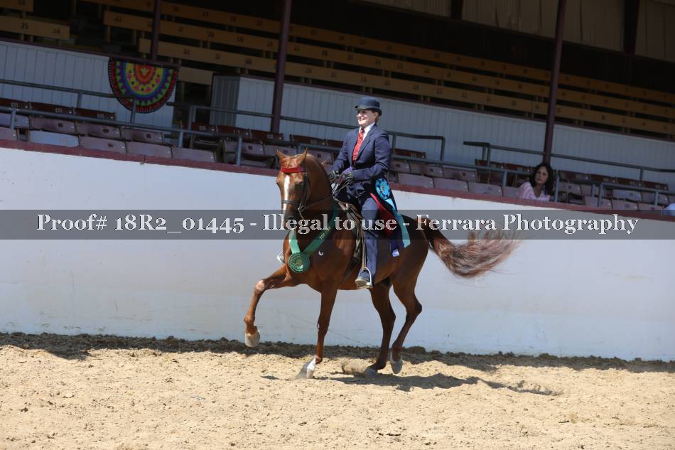 Proof 18R2_01445