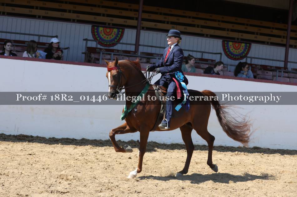 Proof 18R2_01446