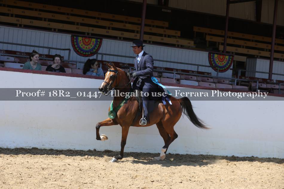 Proof 18R2_01447