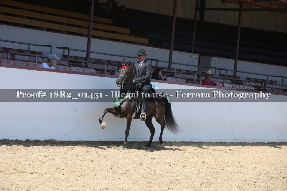 Proof 18R2_01451