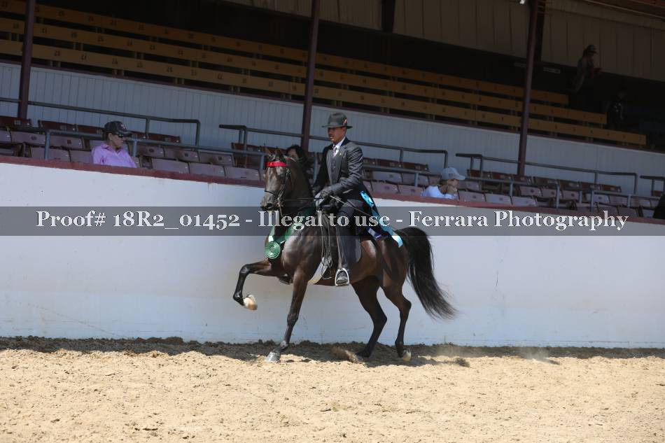 Proof 18R2_01452