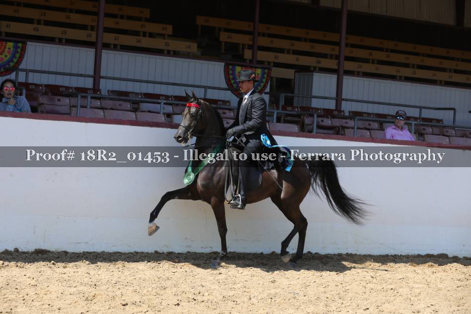 Proof 18R2_01453