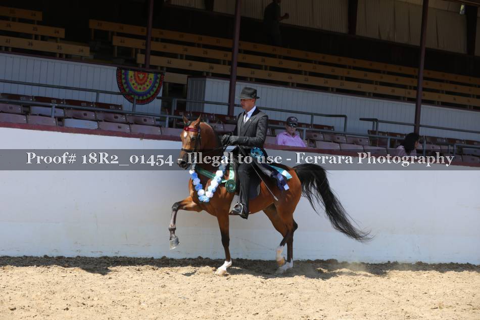 Proof 18R2_01454