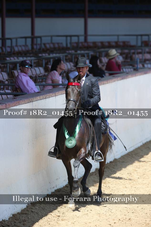 Proof 18R2_01455