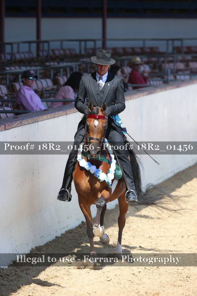 Proof 18R2_01456