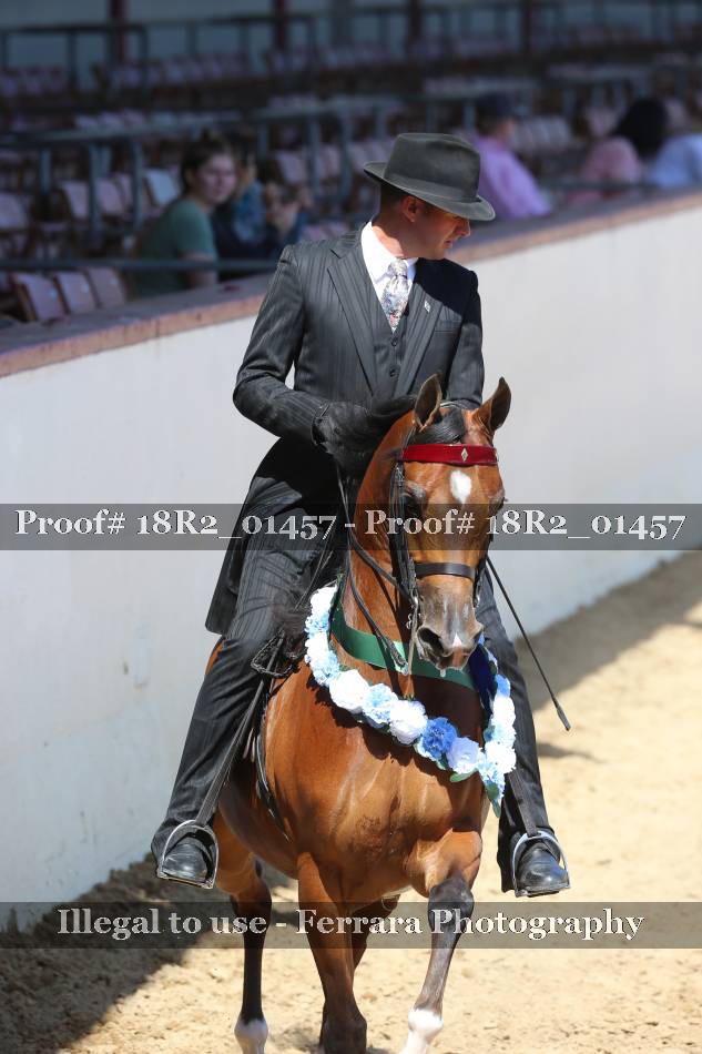 Proof 18R2_01457
