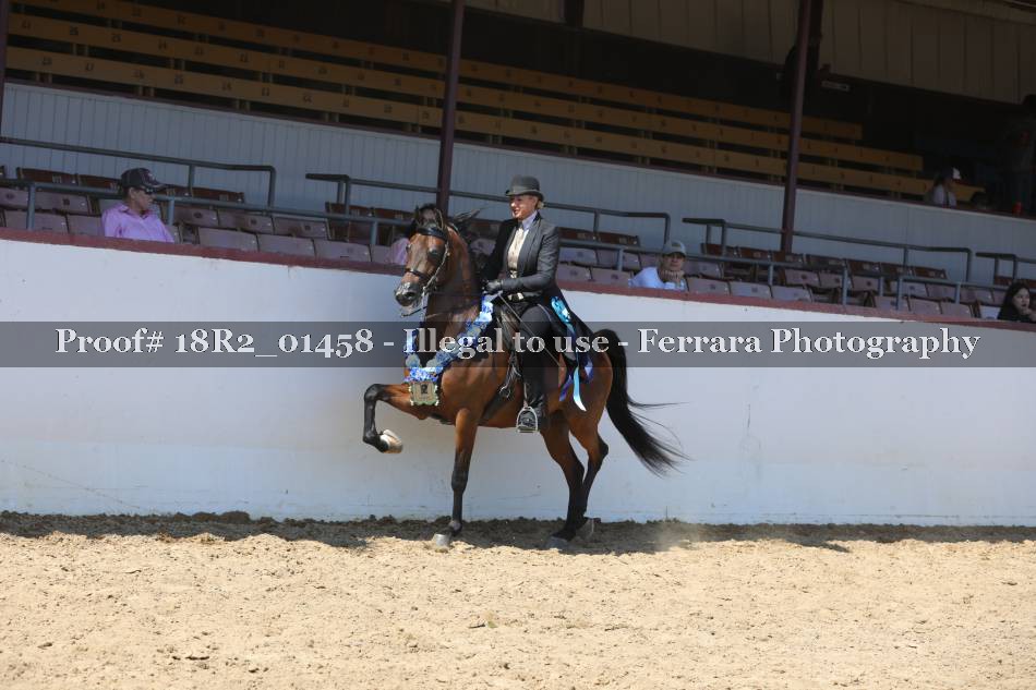 Proof 18R2_01458