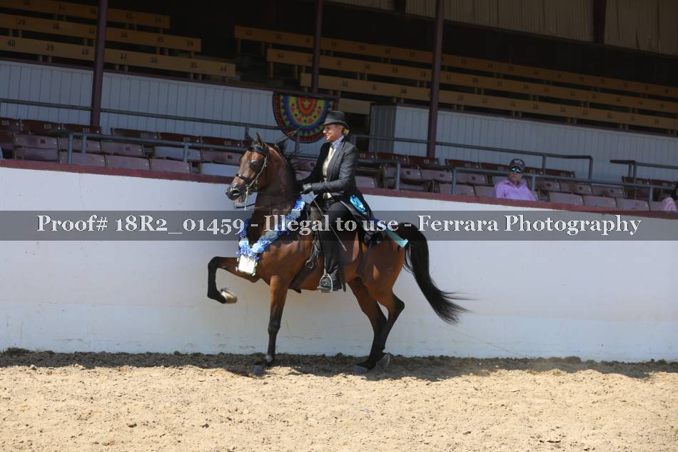 Proof 18R2_01459