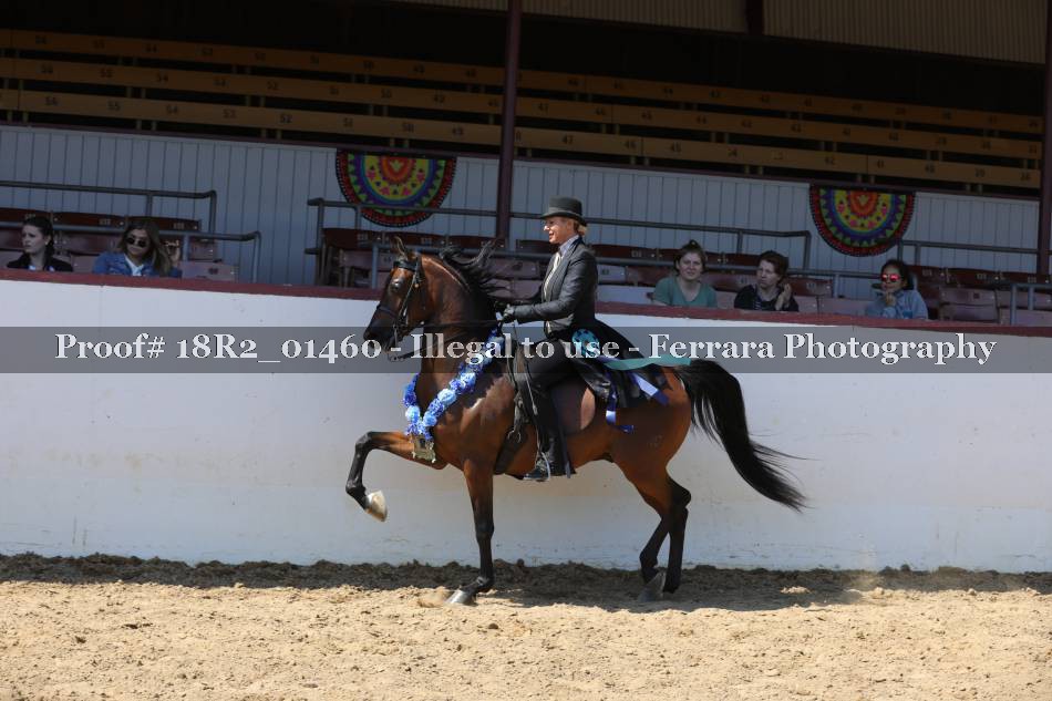 Proof 18R2_01460