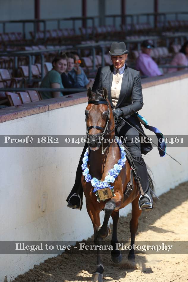 Proof 18R2_01461