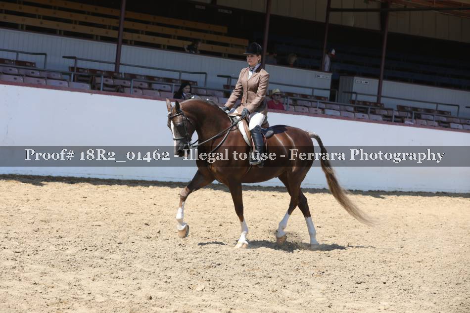 Proof 18R2_01462