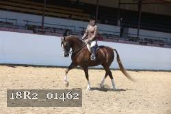 18R2_01462 proof
