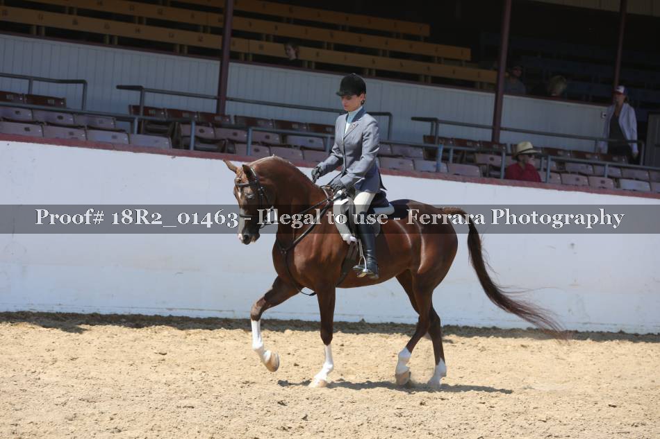 Proof 18R2_01463
