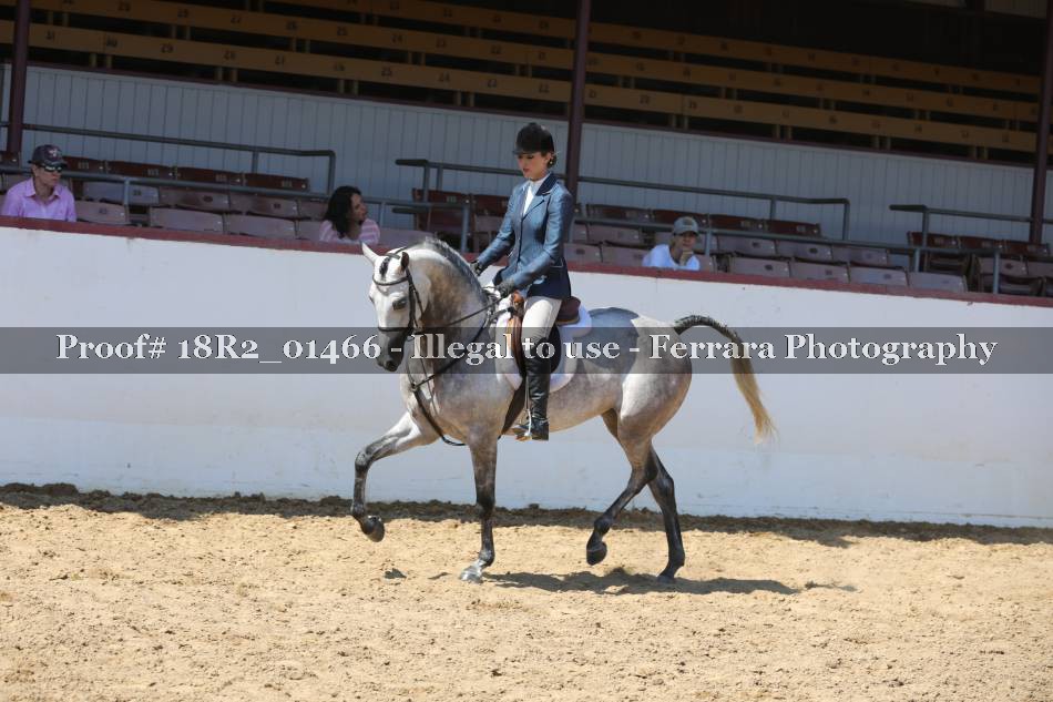 Proof 18R2_01466