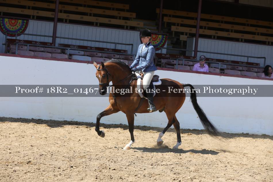 Proof 18R2_01467