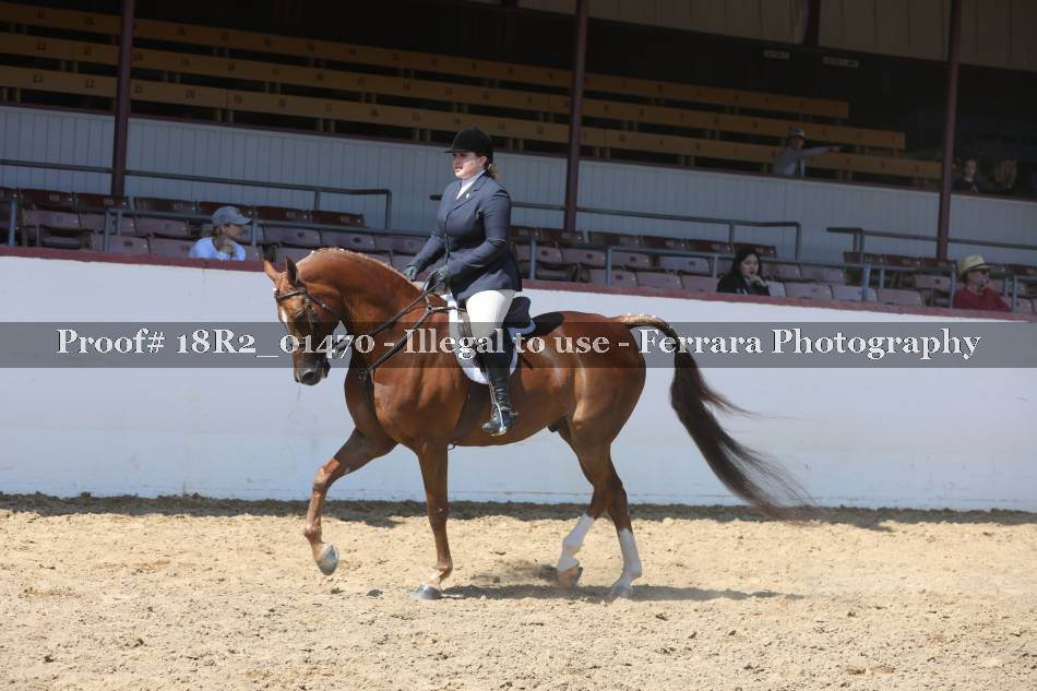 Proof 18R2_01470