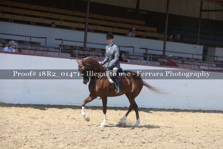 Proof 18R2_01471