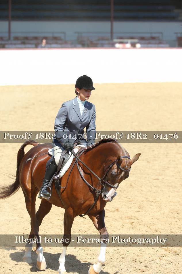 Proof 18R2_01476
