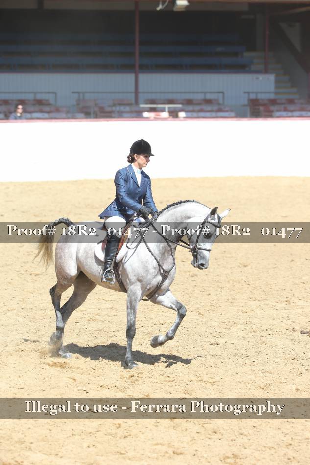 Proof 18R2_01477