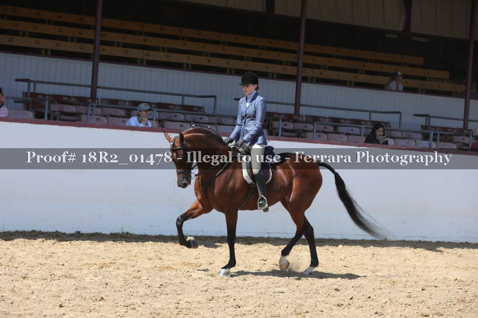 Proof 18R2_01478