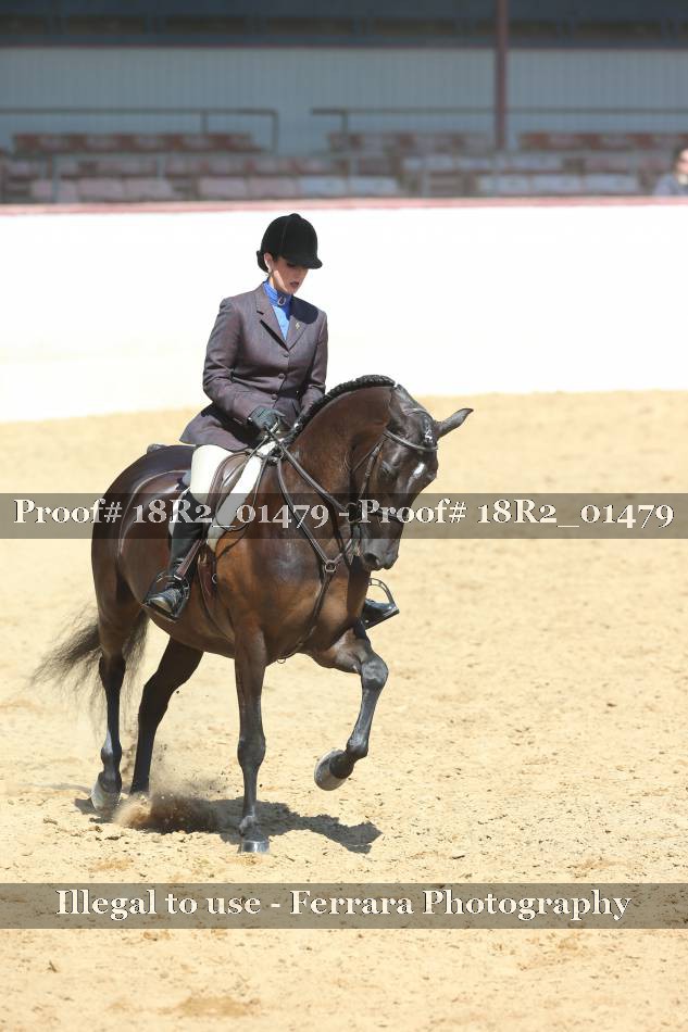 Proof 18R2_01479
