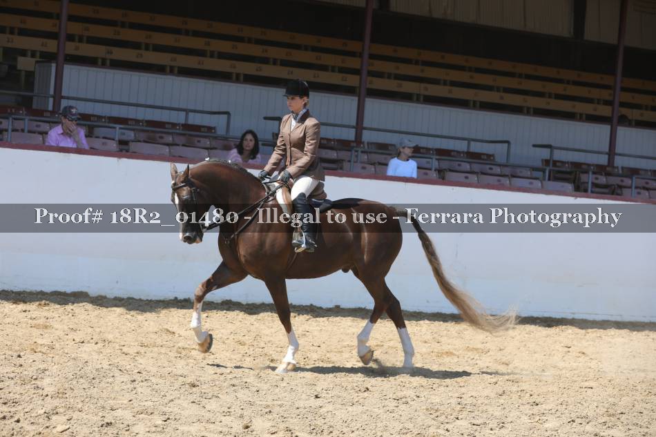 Proof 18R2_01480