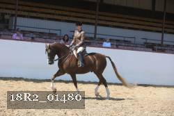 18R2_01480 proof