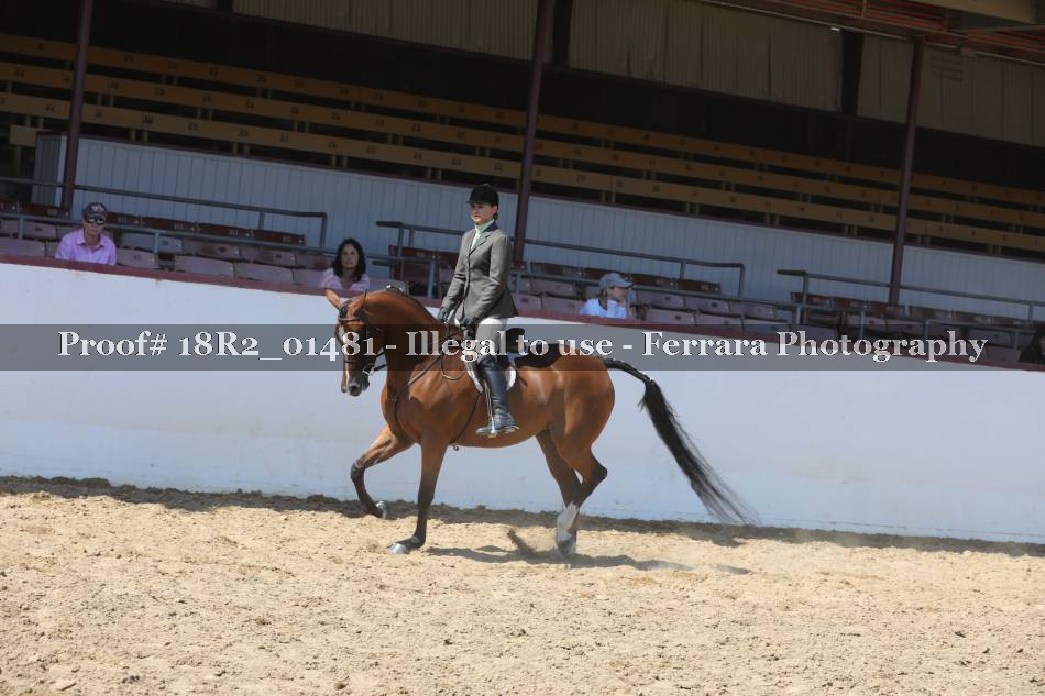 Proof 18R2_01481