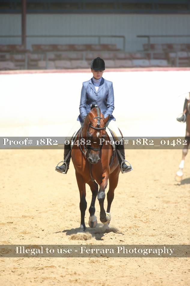 Proof 18R2_01482