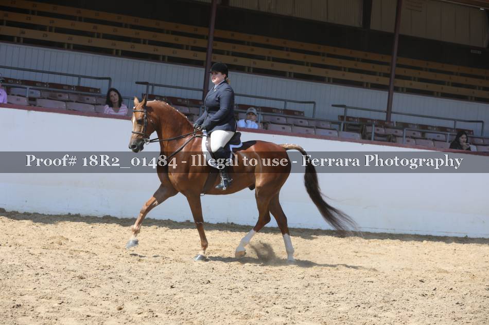 Proof 18R2_01484