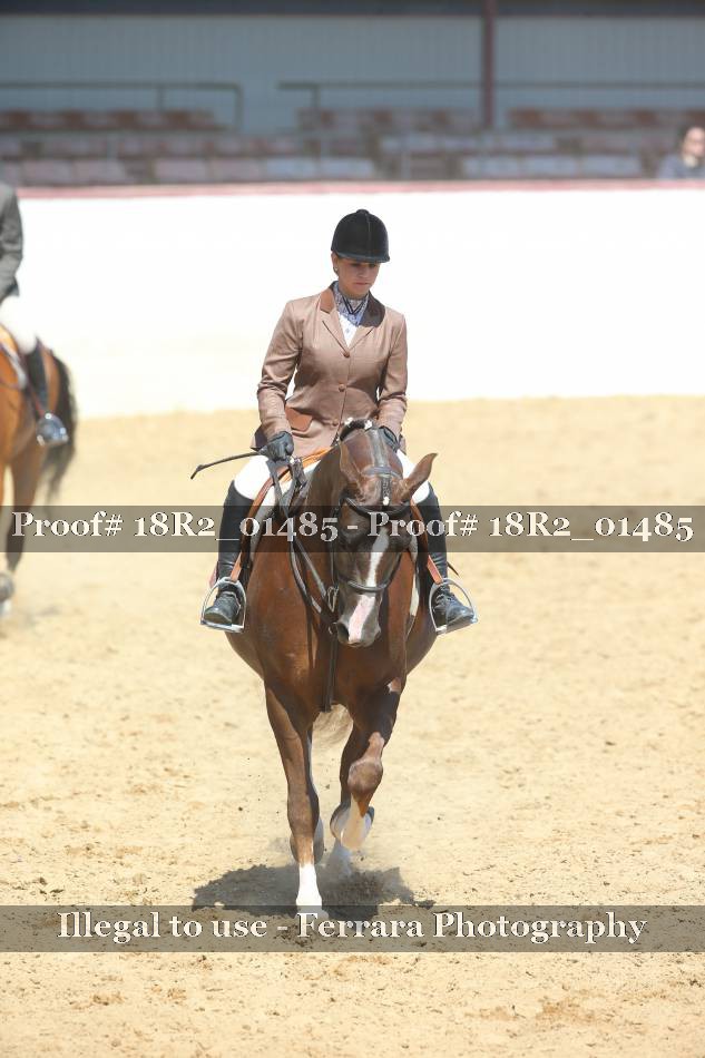 Proof 18R2_01485