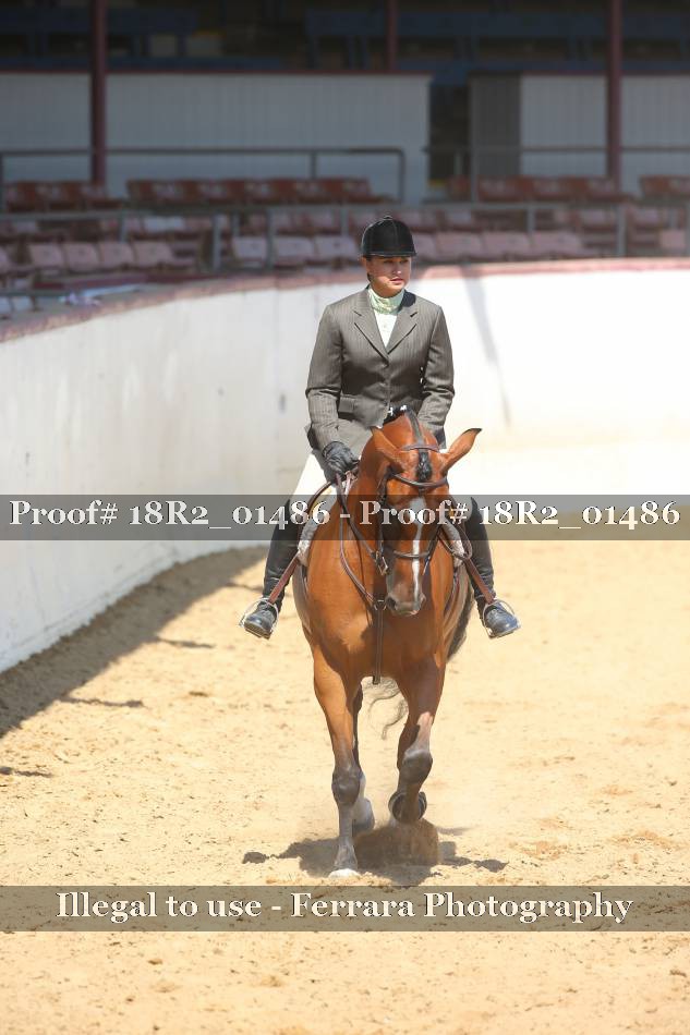 Proof 18R2_01486